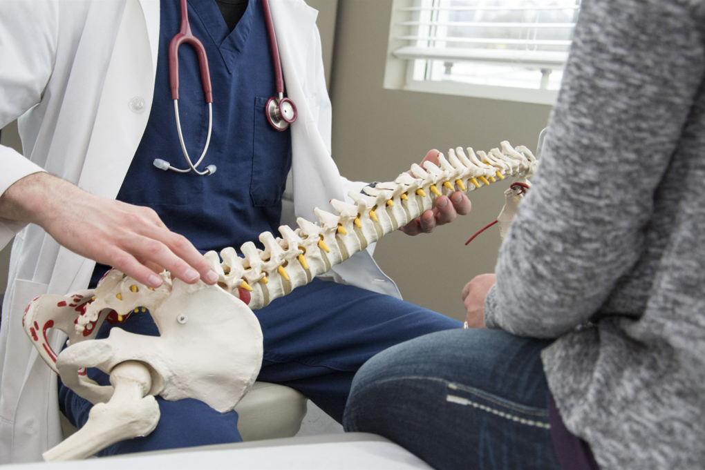 How Often Should You Go To The Chiropractor